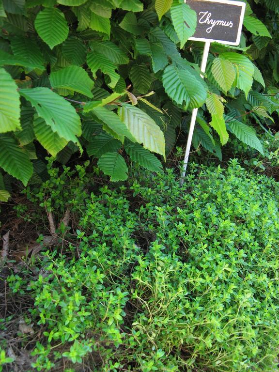 Jardin De Lieze Villa Maldegem Ngoại thất bức ảnh